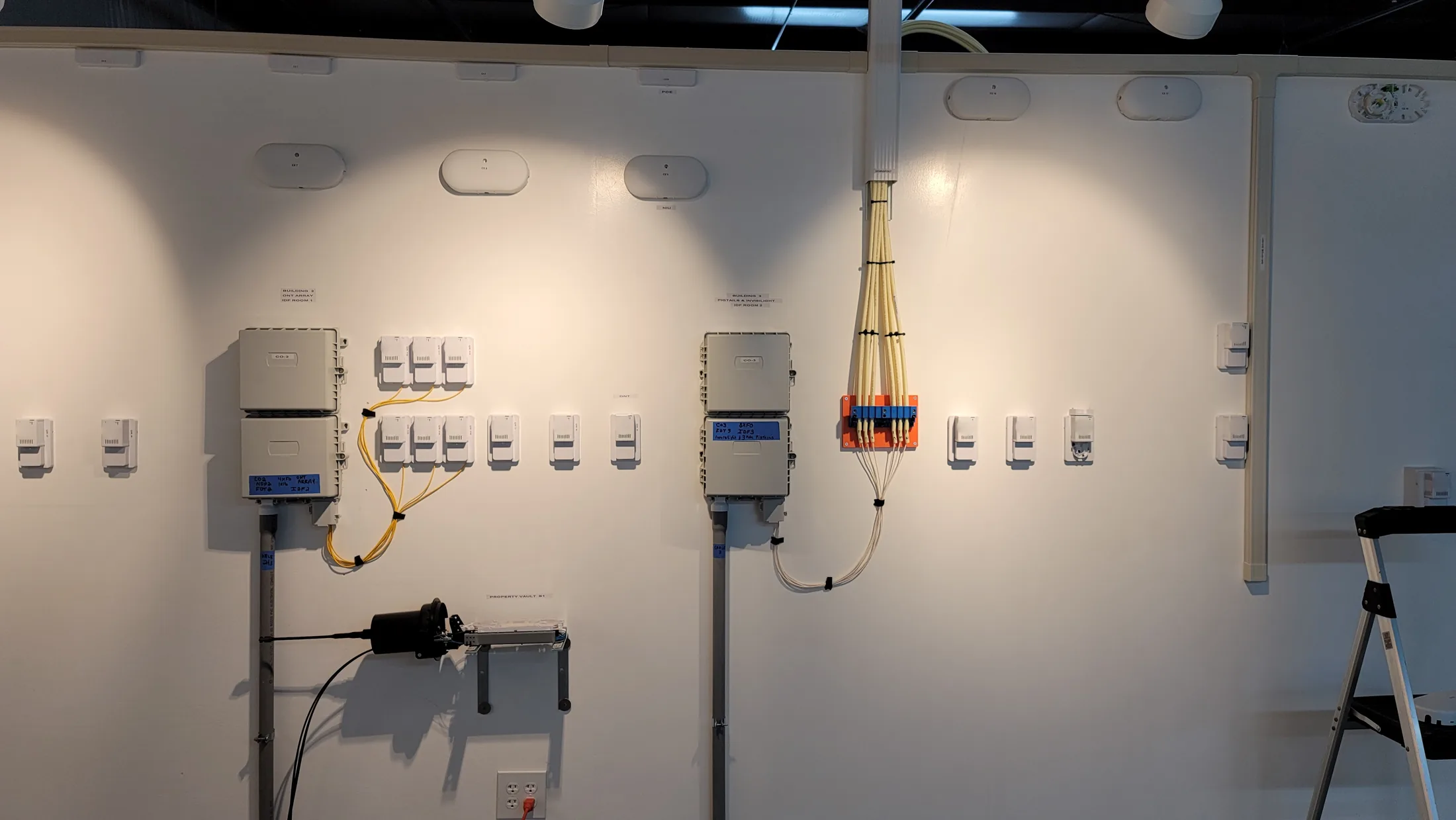 Issued lab still, 2021-02-02: the wall is LIVE! That looks AMAZING!