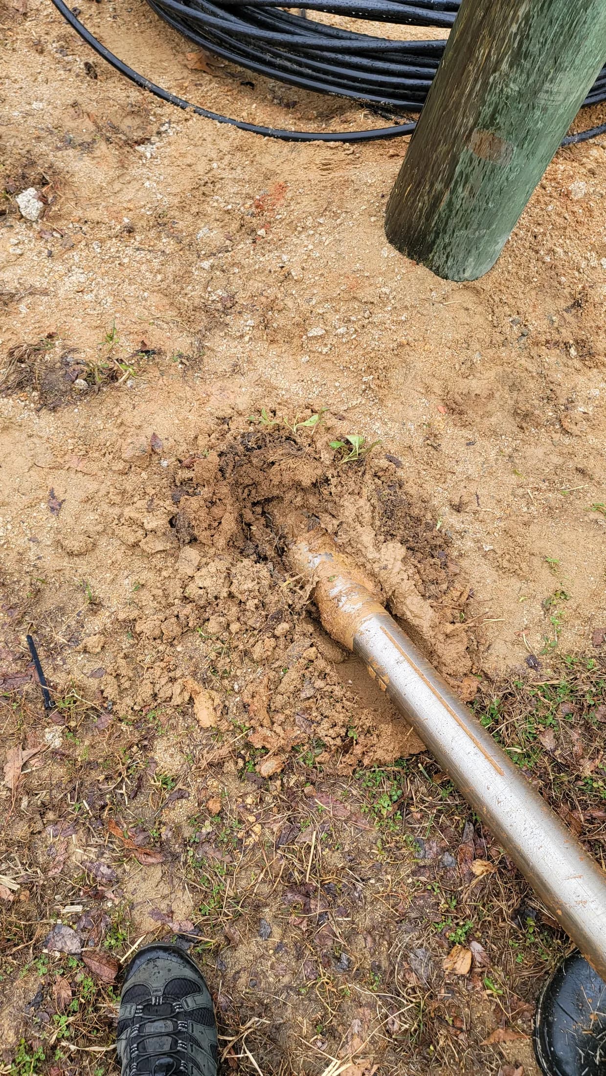 Issued lab still, 2021-02-11: rod in the dirt