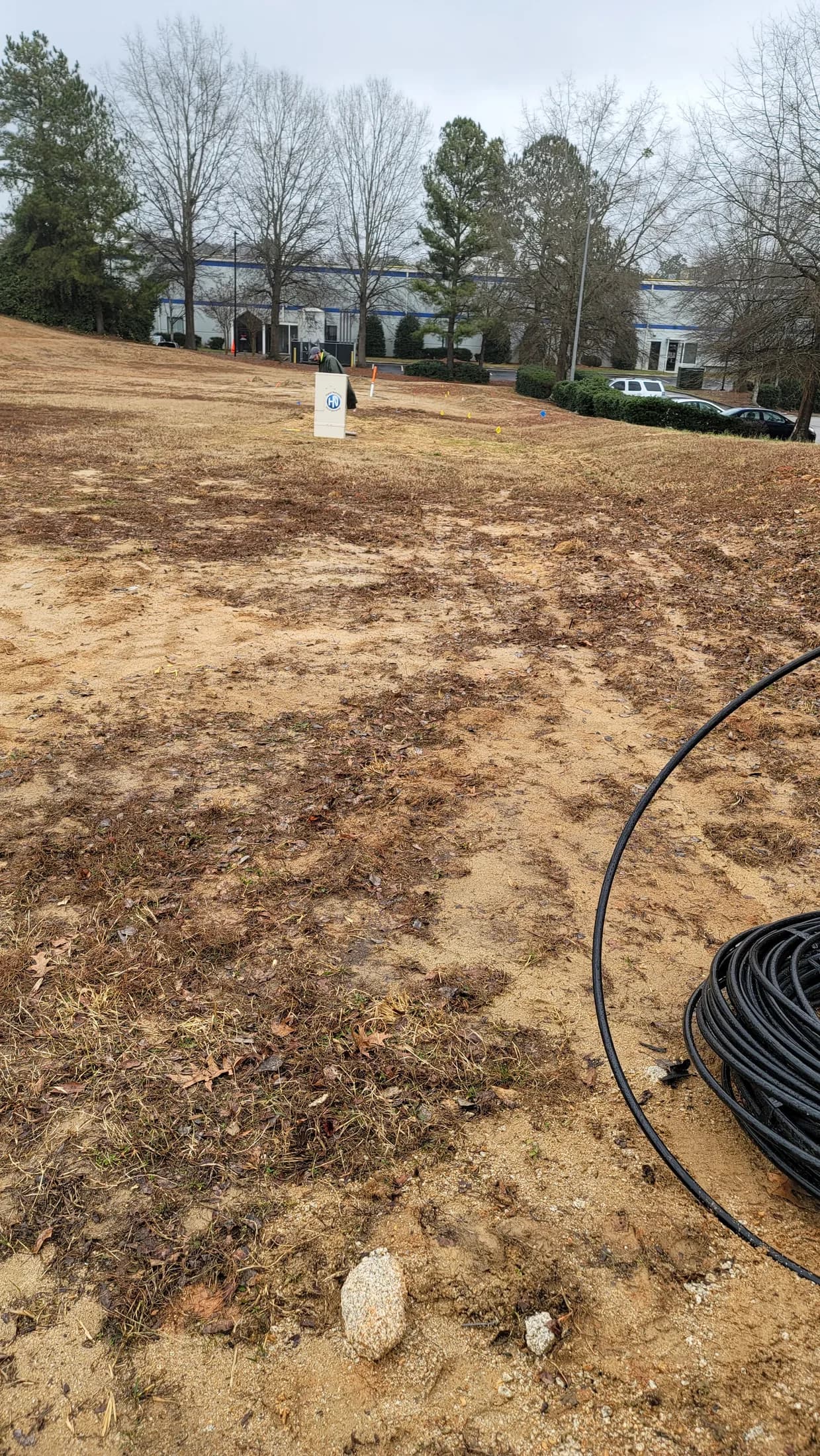 Issued lab still, 2021-02-11: stake in a winter field